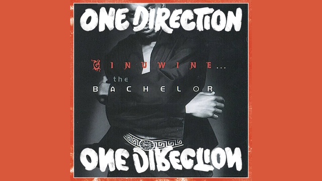 Drag My Pony Down (One Direction x Ginuwine)